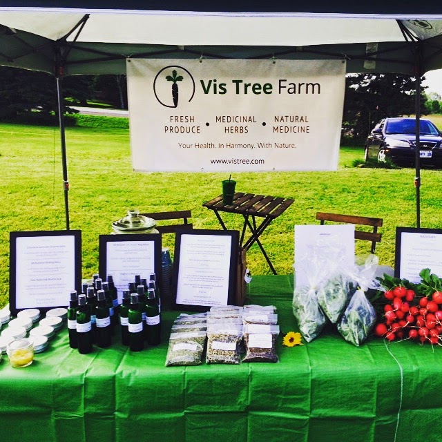 Vis Tree | Ottawa Health Retreats & Organic Farm | 3307 Roger Stevens Dr, North Gower, ON K0A 2T0, Canada | Phone: (613) 909-0059