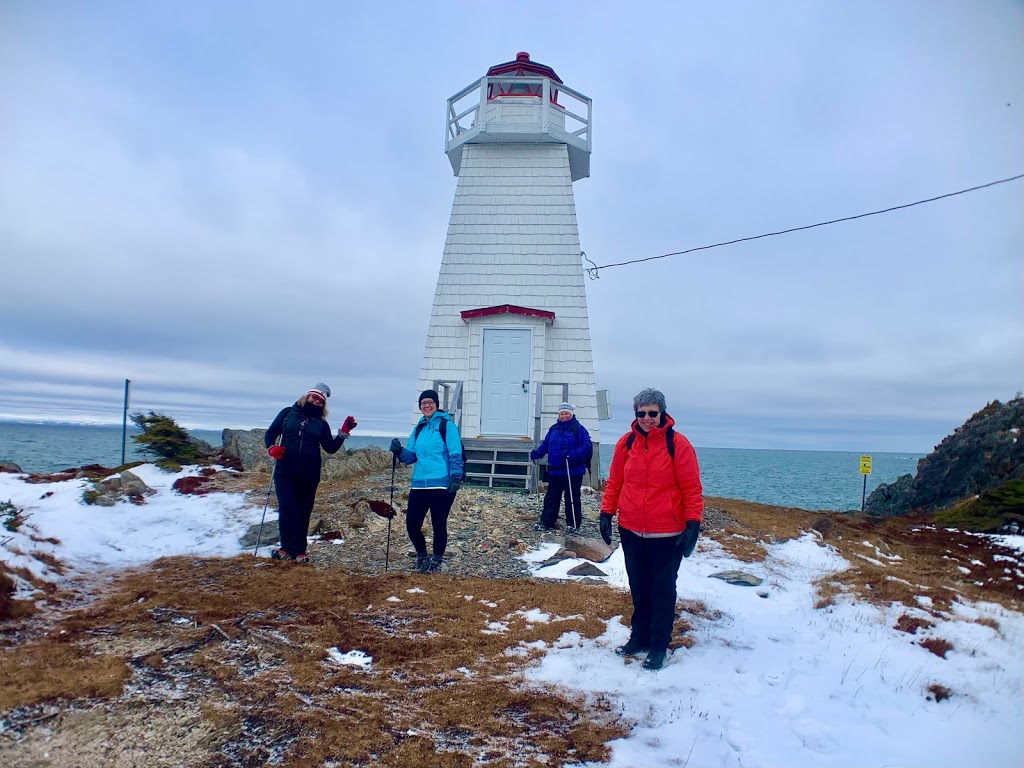 Wind at your Back Guided Adventures | Hearts Delight, 354 Main Rd, Normans Cove, NL A0B 2A0, Canada | Phone: (709) 589-4170