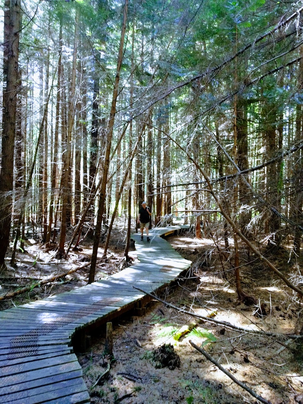 Burns Bog Delta Nature Reserve | Nordel Ct, Delta, BC V4G 1J7, Canada | Phone: (604) 572-0373