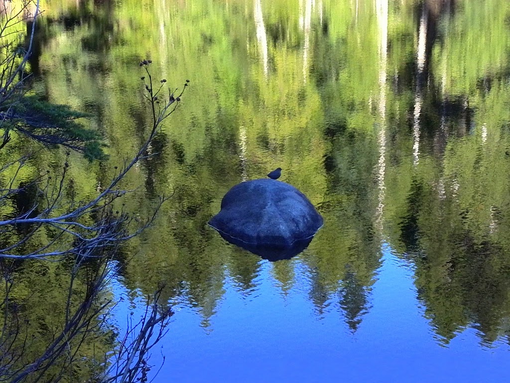 Lost Lake | West Vancouver, BC V0N 1G0, Canada