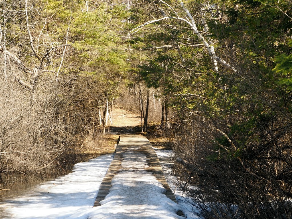 Old Quarry Trail | Eagleson Rd, Kanata, ON K2M 1A9, Canada