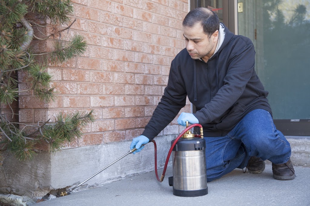 Advantage Pest Control Toronto | 1261 Kennedy Rd Unit 5, Scarborough, ON M1P 2L4, Canada | Phone: (416) 297-8010