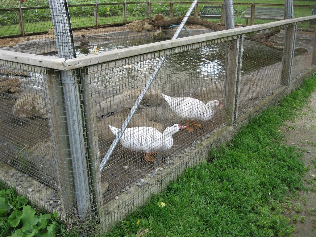 Ferme écologique du parc-nature Cap-Saint-Jacques | 183 Chem. du Cap-Saint-Jacques, Pierrefonds-Roxboro, QC H9K 1C8, Canada | Phone: (514) 648-8805