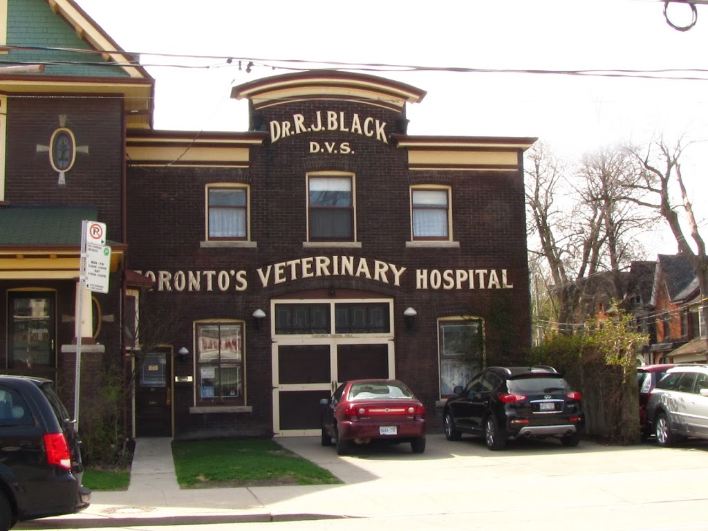 Blacks Toronto Veterinary Hospital | 923 Queen St E, Toronto, ON M4M 1J6, Canada | Phone: (416) 466-7351