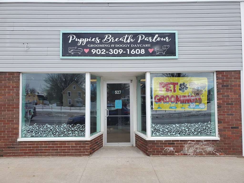 Puppies Breath Parlour | 527 Main St, Kingston, NS B0P 1R0, Canada | Phone: (902) 309-1608