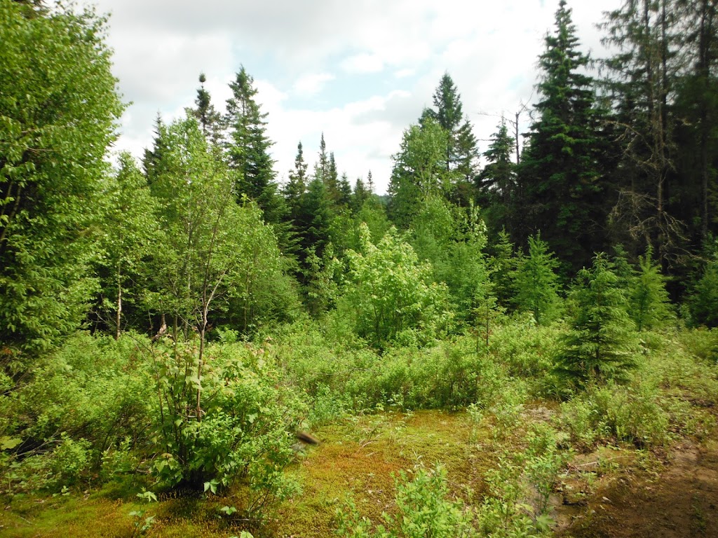 Hameaux De La Source | 387 Chem. de la Sablière, Lantier, QC J0T 1V0, Canada | Phone: (438) 558-9074