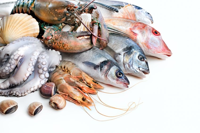 Les Fruits de Mer Sea-Ray Seafood Inc. | 60 des Lilas Suite 103, LÎle-Perrot, QC J7V 0R3, Canada | Phone: (514) 920-0111