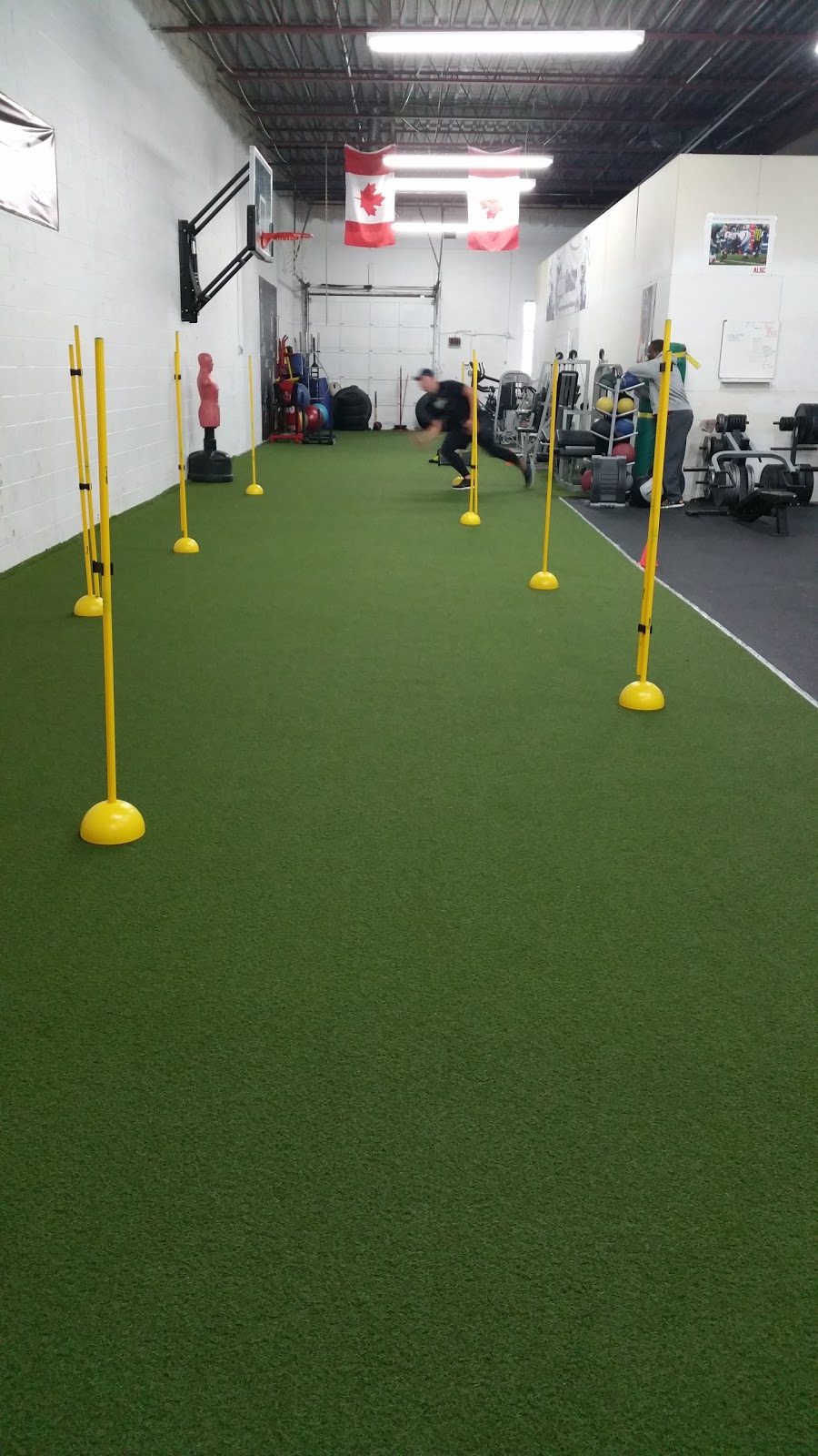 Facility Fitness | 510 Coronation Dr #17, Scarborough, ON M1E 4X6, Canada | Phone: (437) 239-8343