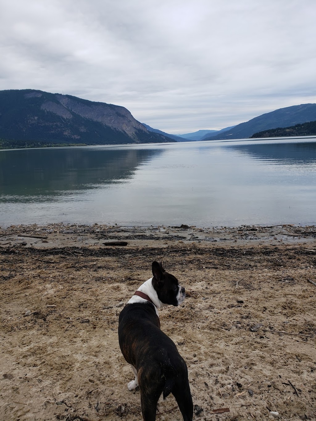 Pierres Point Campground | 2569 Campground Rd, Salmon Arm, BC V1E 3A2, Canada | Phone: (250) 253-1340
