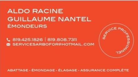 Les Service Arbofor | 3924 Chem. du Rapide, Rivière-Rouge, QC J0T 1T0, Canada | Phone: (819) 808-7311