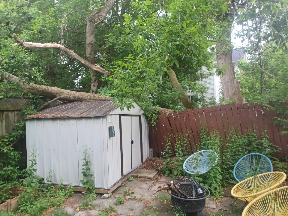 BOSSDAWG TREE REMOVALS | 362 Main St Apt 2, Deseronto, ON K0K 1X0, Canada | Phone: (613) 848-8326