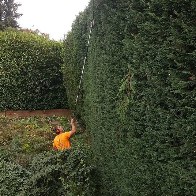 Flying Dutchman Tree Services | 7302 Westholme Rd, Duncan, BC V9L 6B4, Canada | Phone: (250) 510-2742