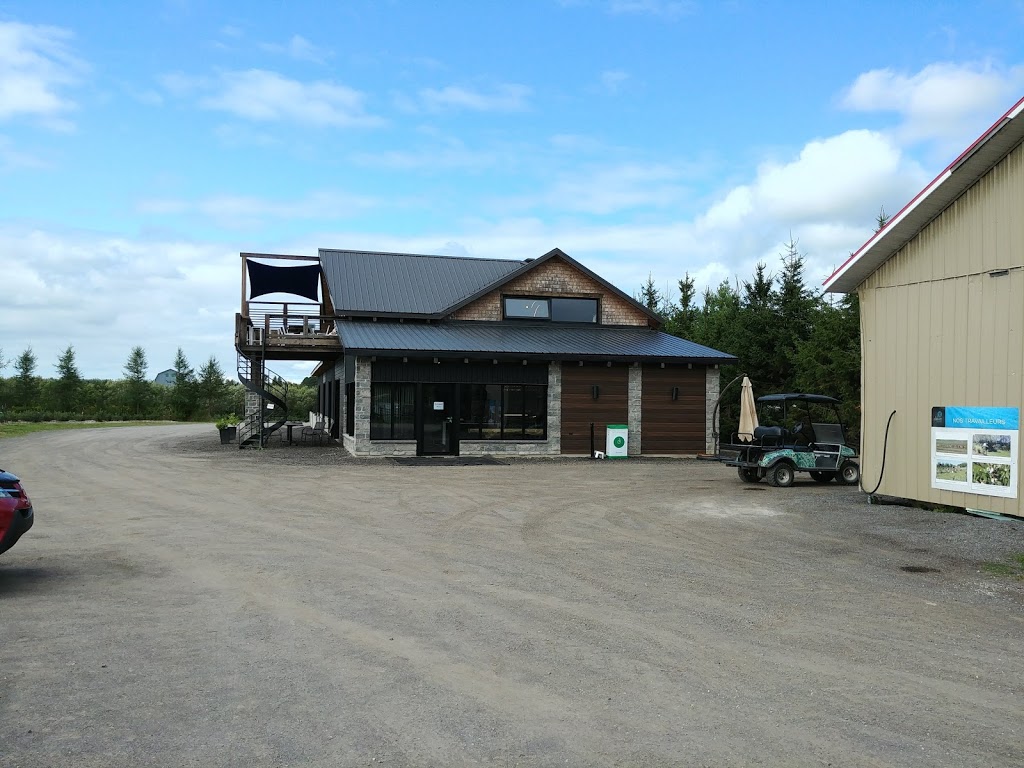 La Vallée bleue Distillerie et Bleuetière | 747 1e Rang, Val-Alain, QC G0S 3H0, Canada | Phone: (418) 271-3063