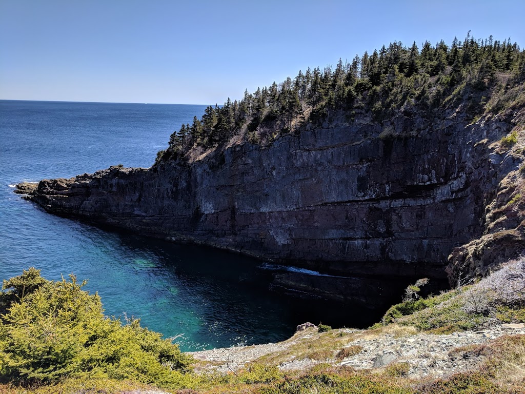 Mickeleens Path | Bears Cove Rd, Goulds, NL A1S 1R3, Canada