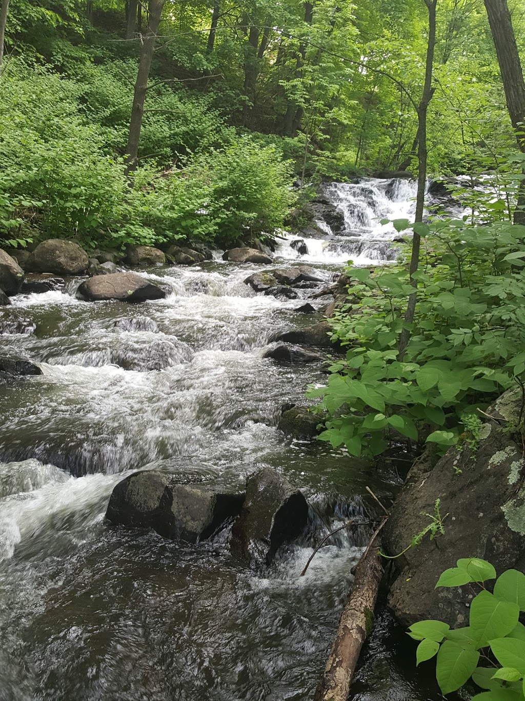 Au fil du temps | 373-411 Rang du Pied de la Montagne, Sainte-Marcelline-de-Kildare, QC J0K, Canada