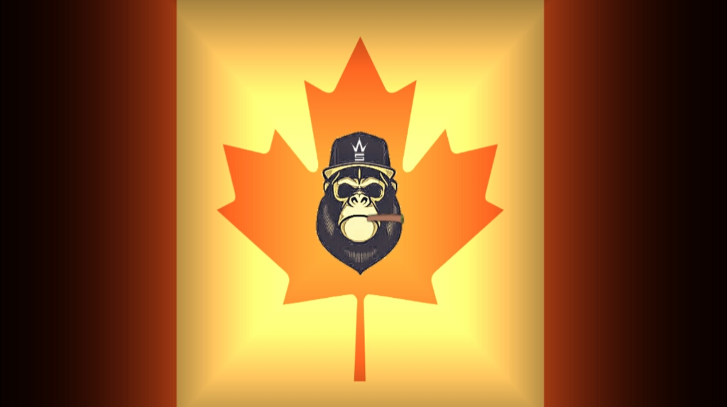 Canadiens monkeys | 3 Rue Notre-Dame apt 1, Repentigny, QC J6A 2N8, Canada | Phone: (438) 794-3037