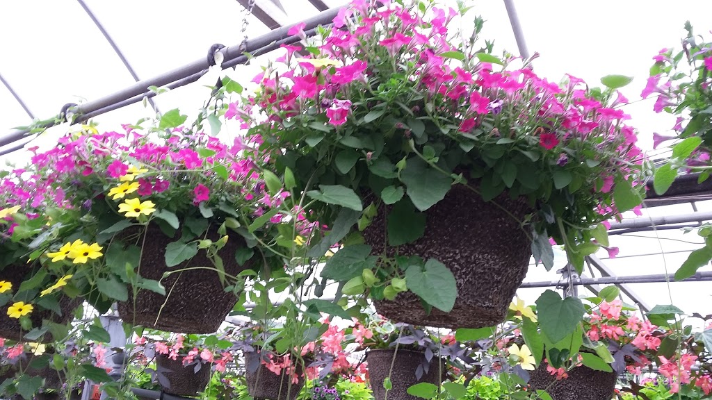 Crawfords Garden Centre | 8689 5 Sideroad, Milton, ON L9T 2X7, Canada | Phone: (905) 878-0223