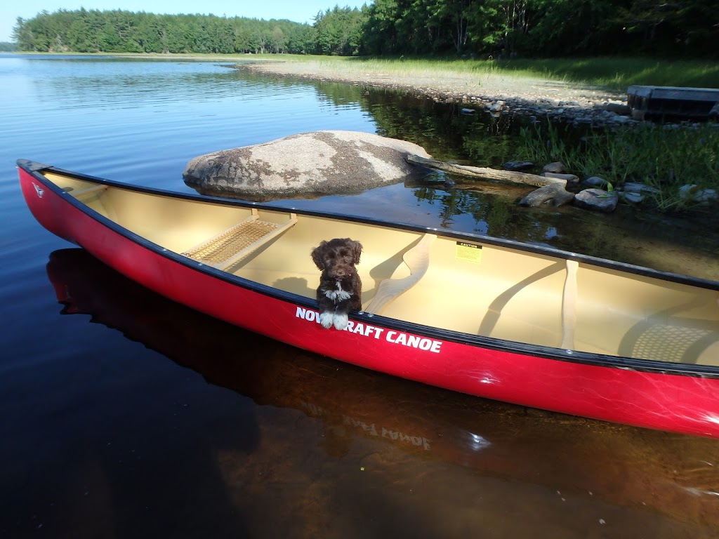 Old Creel Canoe & Kayak | We are open by appointment every day but Sunday. We meet customers every day. We work to your schedule! Call any time to speak with us or arrange an appointment that suits your schedule, Waverley, NS B2R 1T3, Canada | Phone: (902) 860-1938