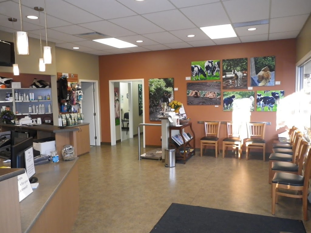 McKenzie Veterinary Services | 3888 Carey Rd, Victoria, BC V8Z 4C9, Canada | Phone: (250) 727-2125