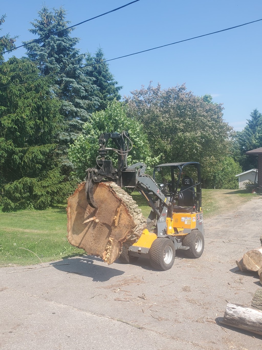 Rayzor Edge Tree Service | 1693 Durst Rd, St. Jacobs, ON N0B 2N0, Canada | Phone: (519) 503-9829