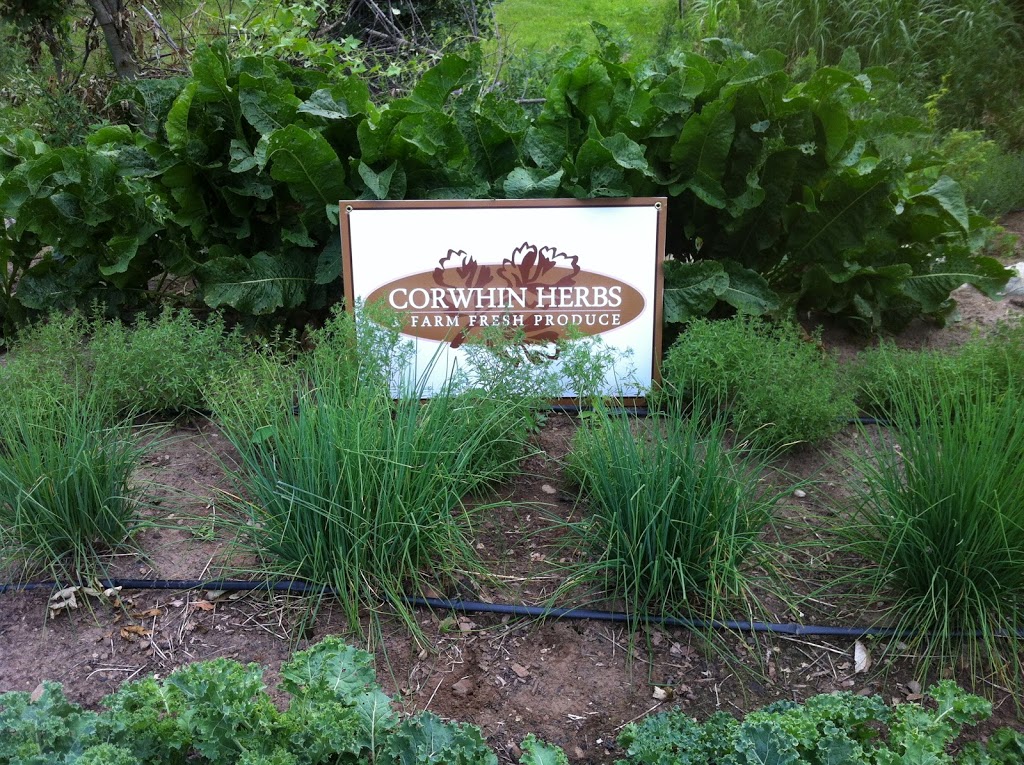 Corwhin Herbs and Produce | 4402 Concession Rd 11, Moffat, ON N0B 2J0, Canada | Phone: (519) 223-1287