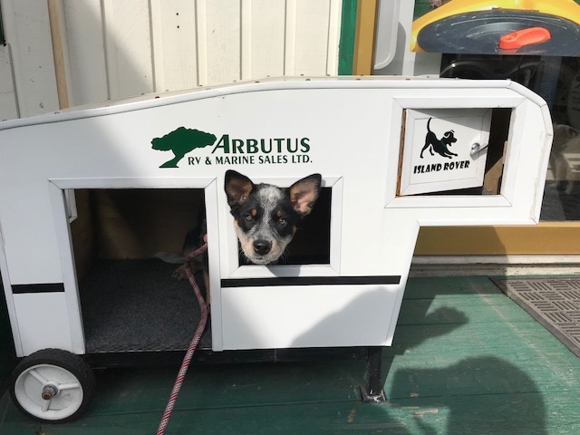 Arbutus RV & Marine Sales Ltd - Courtenay | 2603 Sackville Rd, Merville, BC V0R 2M0, Canada | Phone: (250) 337-2174