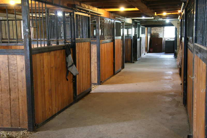 Morning Star Equestrian Farm | 237 Langford Church Rd, Brantford, ON N3T 5L4, Canada | Phone: (519) 865-8523