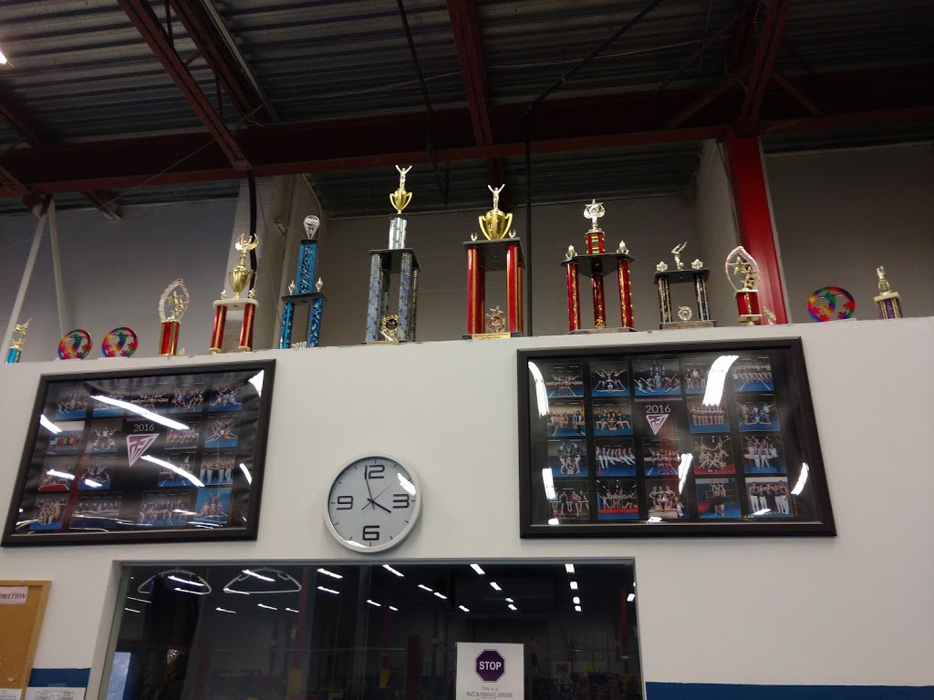 Toronto Gymnastics International | 77 Browns Line Road Units B&C, Etobicoke, ON M8W 3S2, Canada | Phone: (416) 253-1443