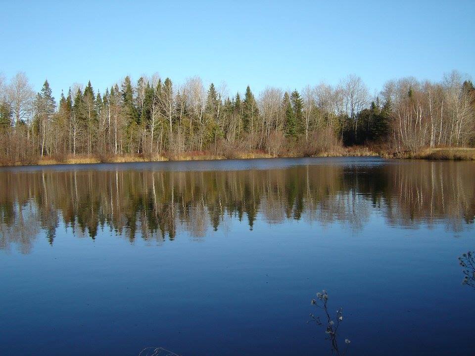 Association Chasse et Pêche Vallée-Jonction | 686 3e Rang, Saints-Anges, QC G0S 3E0, Canada | Phone: (418) 253-5835