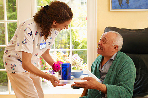 Home Star Service - Senior Home Care Services | 4700 Hamilton Rd Unit 32, Dorchester, ON N0L 1G6, Canada | Phone: (519) 777-9636