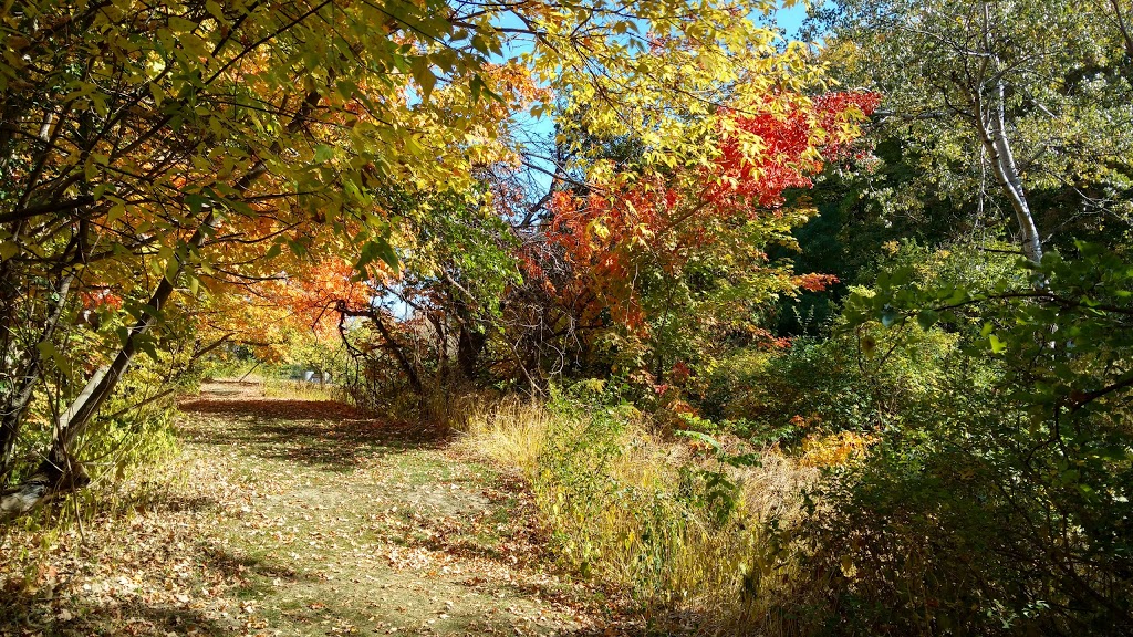 Woodcliff Greenbelt | Woodcliff Greenbelt, Toronto, ON M3B, Canada