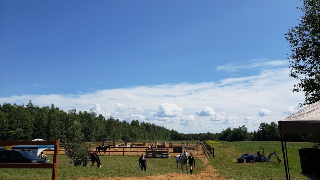 La Cadence école équitation | 1910 Rang Saint Félix E, Notre-Dame-du-Mont-Carmel, QC G0X 3J0, Canada | Phone: (819) 609-1131