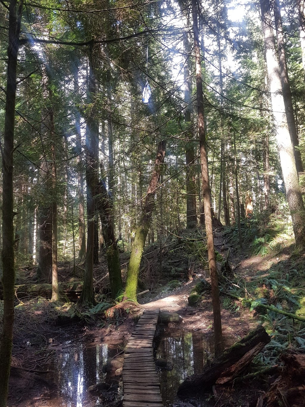 Hyannis Trail | Hyannis Dr, North Vancouver, BC V7H 2E8, Canada