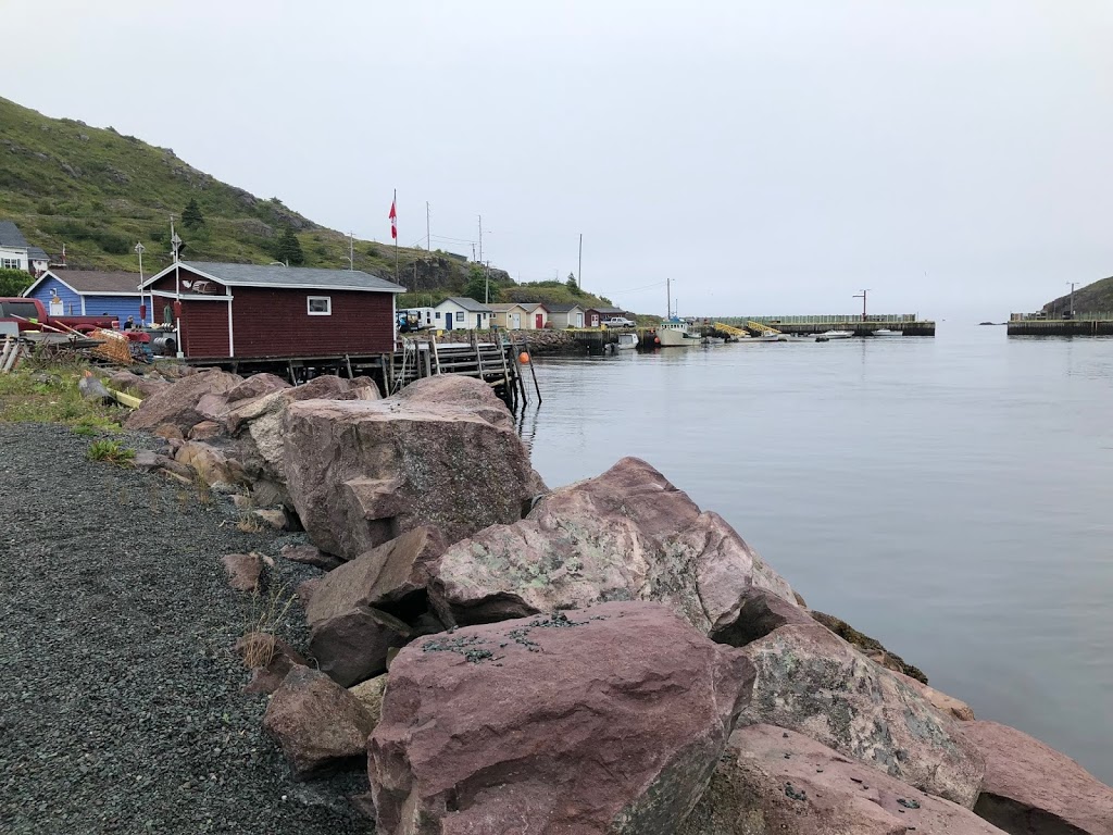 Bidgoods Cove | Petty Harbour-Maddox Cove, NL A1S 1L1, Canada