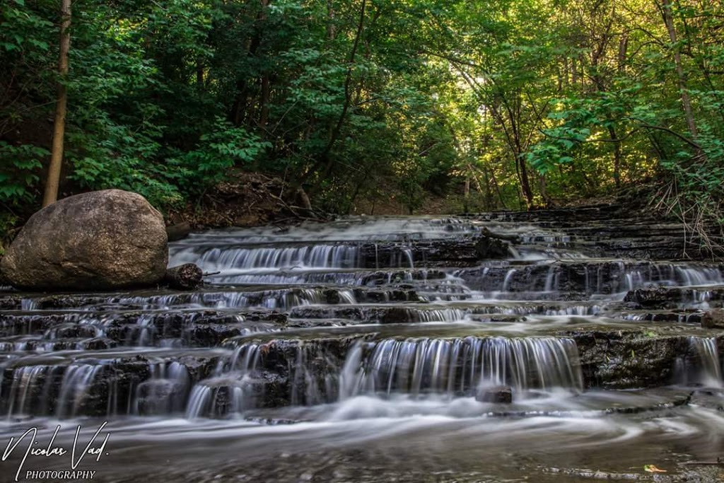 Ruisseau-De Montigny Nature Park | Anjou, QC H1J 2Y2, Canada | Phone: (514) 872-3434