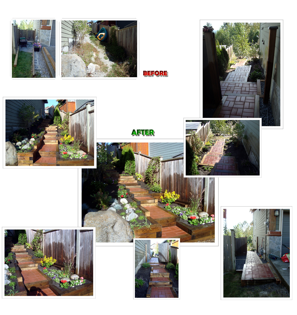 Andys Landscape Inc. | 11502 Burnett St. #18, Maple Ridge, BC V2X 0Y2, Canada | Phone: (778) 895-6202