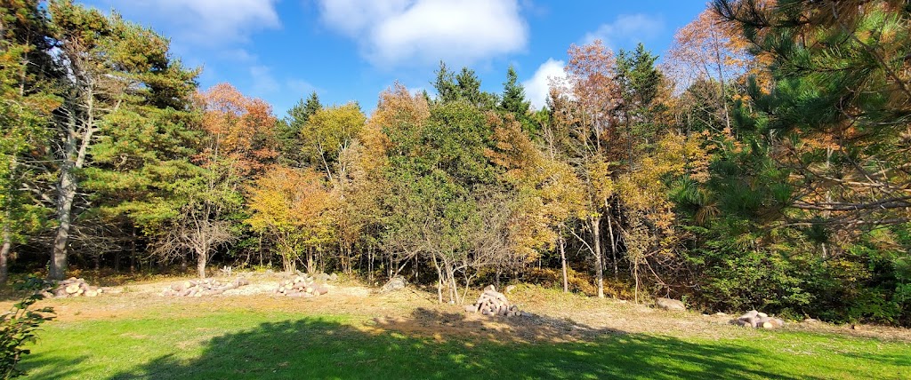 Conserve A Tree Forestry | 54 Lower Grant Rd, Chester Basin, NS B0J 1K0, Canada | Phone: (902) 275-8450