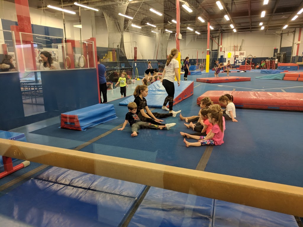 Toronto Gymnastics International | 77 Browns Line Road Units B&C, Etobicoke, ON M8W 3S2, Canada | Phone: (416) 253-1443