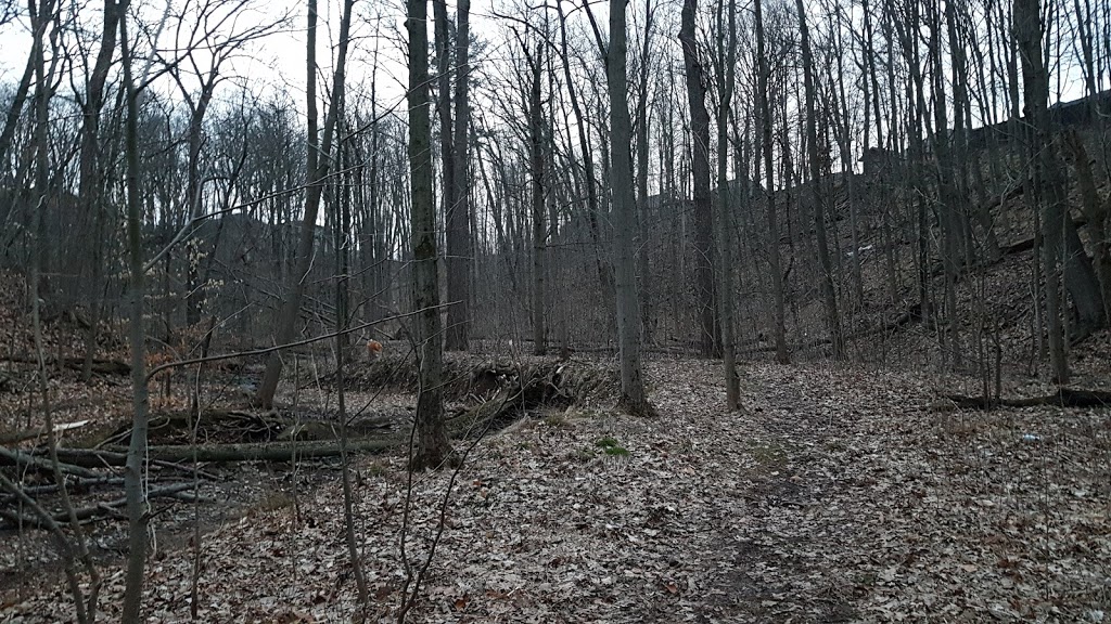 Stradelbauer Ravine Trail | Beamsville, Lincoln, ON L0R 1B8, Canada