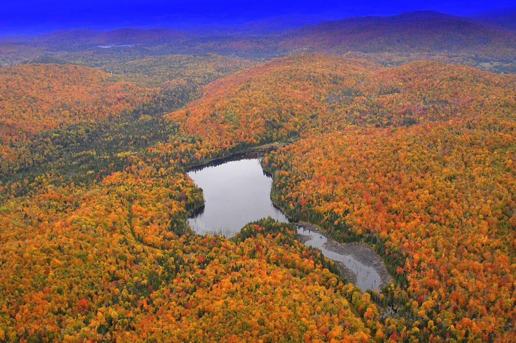 Centre Des Tournesols | 439 Chemin du Lac Quenouille, Lac-Supérieur, QC J0T 1J0, Canada | Phone: (819) 429-7598