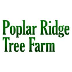 Sylvan West Tree Farm | 28376 Township Rd 384, Red Deer, AB T4N 5E1, Canada | Phone: (403) 347-2465