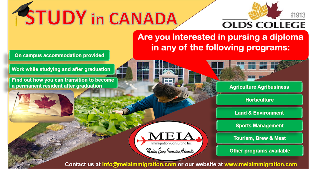 MEIA Immigration Consulting Inc. | 3450 Fieldgate Dr #303, Mississauga, ON L4X 2J5, Canada | Phone: (416) 907-4284