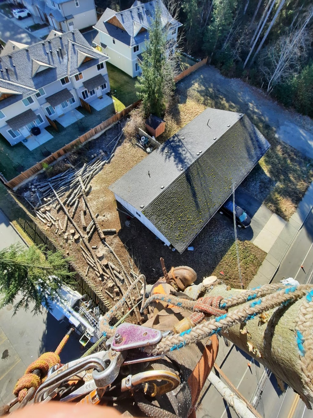 Above & Beyond Tree Service | 2234 Robb Ave, Comox, BC V9M 1J8, Canada | Phone: (250) 465-1993