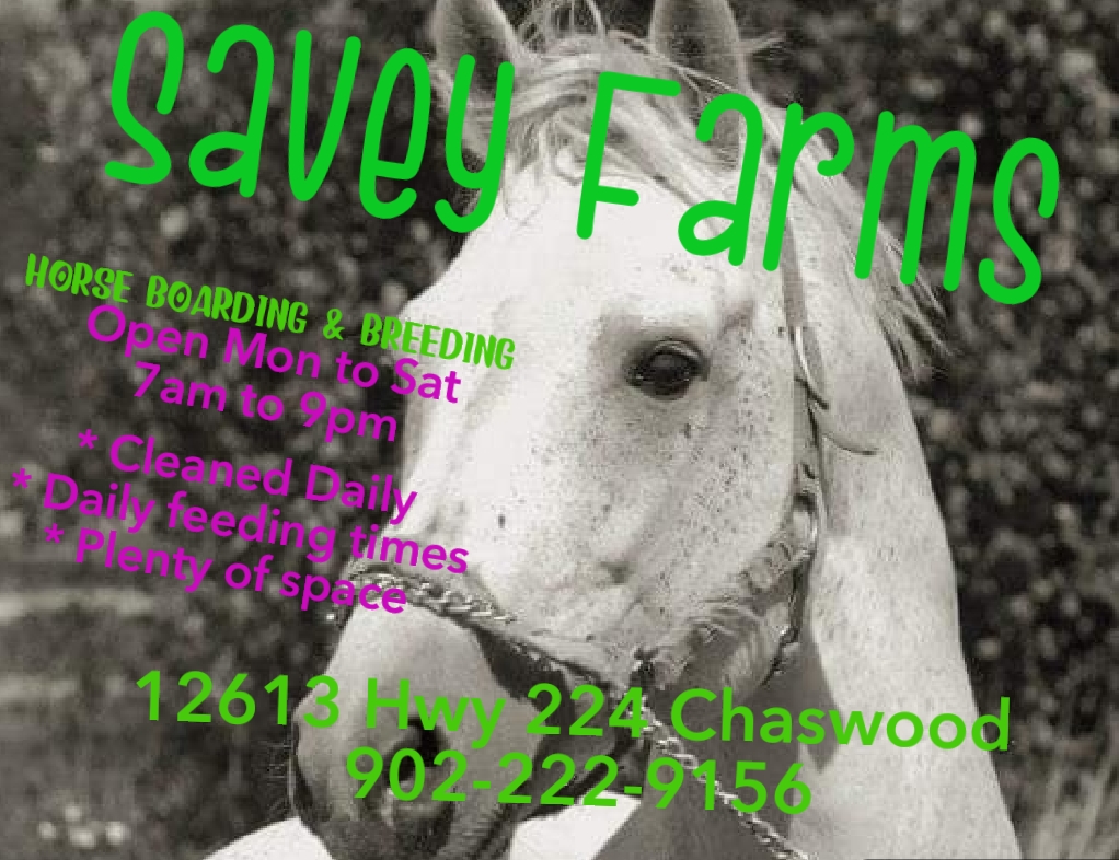 Savey Farms | 12613 NS-224, Chaswood, NS B0N 2H0, Canada | Phone: (519) 551-4650