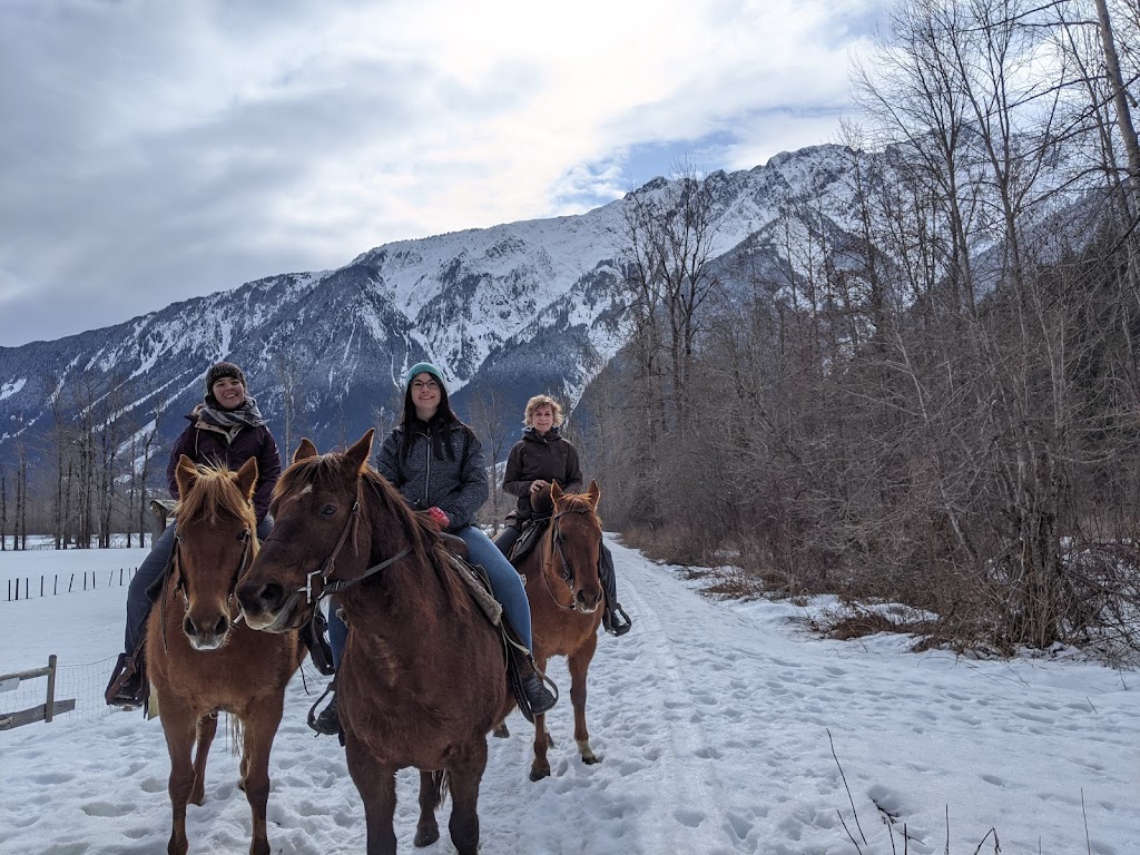 Adventures On Horseback | 7476 Prospect St, Pemberton, BC V0N 2L0, Canada | Phone: (604) 894-6269