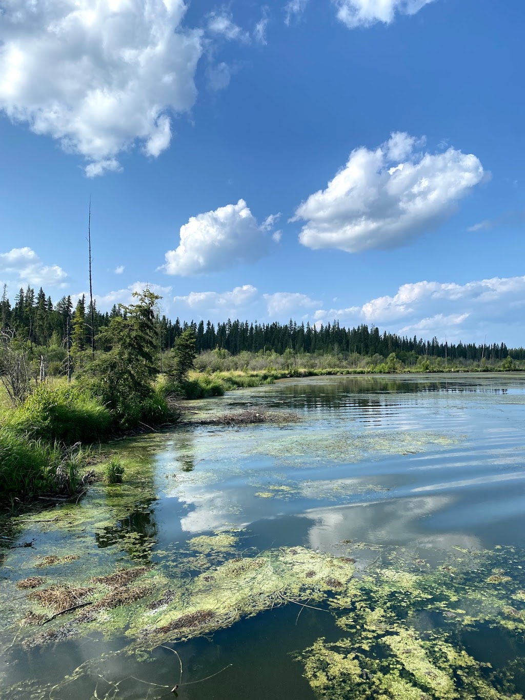 Cross Lake Provincial Park - Campground | Flatbush, AB T0G 0Z0, Canada | Phone: (780) 675-8213