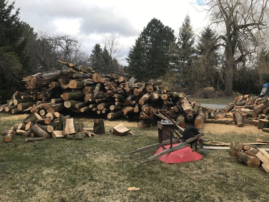 Glenwood Firewood | 3125 Lloydtown-Aurora Rd, Kettleby, ON L0G 1J0, Canada | Phone: (647) 504-6570