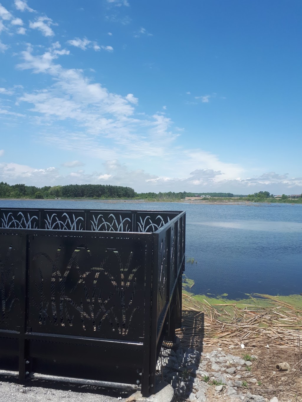 Port Rowan Restored Wetland | Norfolk County, ON N0E 1M0, Canada