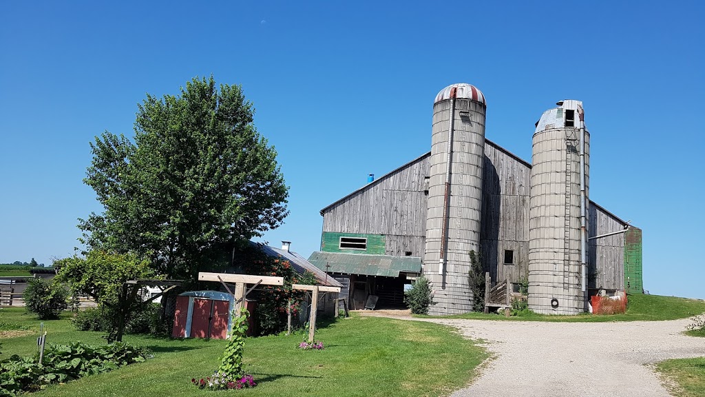 Orange Blossom Farm | 1290 Martin Creek Rd, Waterloo, ON N2J 3Z4, Canada | Phone: (519) 664-1237