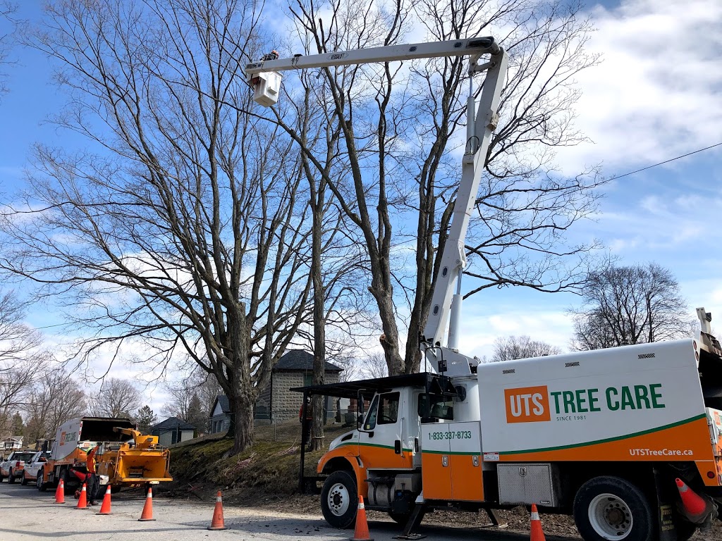 UTS Tree Care - Uxbridge Tree Service | 5 Banff Rd, Uxbridge, ON L9P 1S9, Canada | Phone: (833) 337-8733